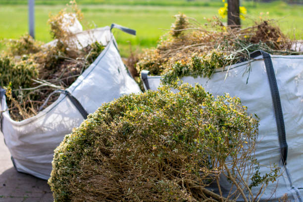Best Demolition Debris Removal  in Somerville, NJ